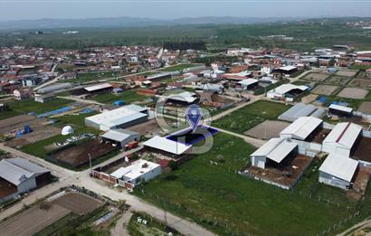 CB KiNG'DEN KEPSUT MAHMUDİYEDE 700 M² SATILIK KÖŞE PARSEL ARSA