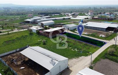 CB KiNG'DEN KEPSUT MAHMUDİYEDE 700 M² SATILIK KÖŞE PARSEL ARSA