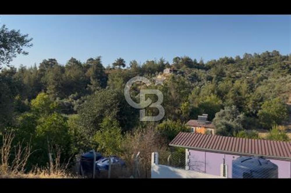 Kemalpaşa ,da Sincancılar 4429m2 Tek Tapu Satılık Tarla