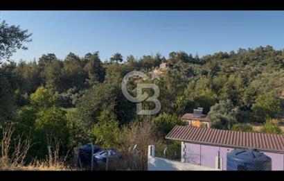 Kemalpaşa ,da Sincancılar 4429m2 Tek Tapu Satılık Tarla