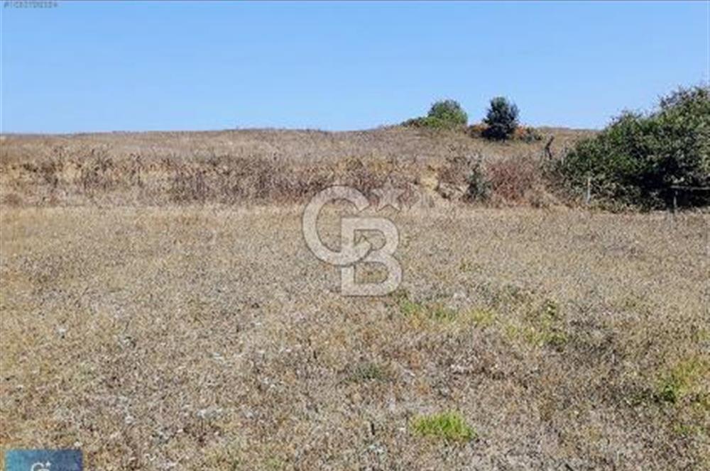 KOCAELI KÖRFEZ YATIRIMLIK 840 M2 ARSA IMAR BOLGESI YAKINI