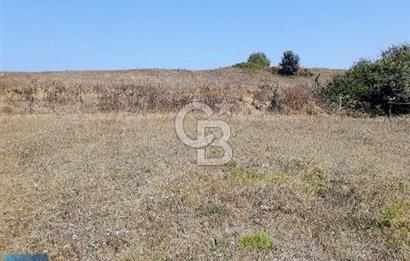 KOCAELI KÖRFEZ YATIRIMLIK 840 M2 ARSA IMAR BOLGESI YAKINI