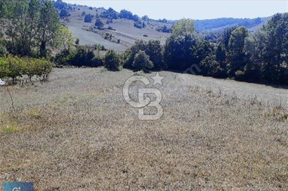 KOCAELI KÖRFEZ YATIRIMLIK 840 M2 ARSA IMAR BOLGESI YAKINI