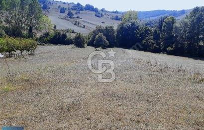 KOCAELI KÖRFEZ YATIRIMLIK 840 M2 ARSA IMAR BOLGESI YAKINI