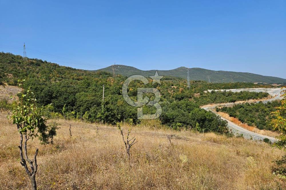 BURSA KESTEL ERDOĞAN MAH.SATILIK 28.440 M2 MEYVE BAHÇESİ!
