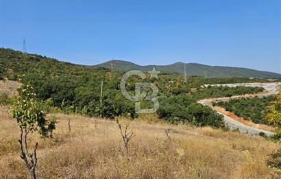 BURSA KESTEL ERDOĞAN MAH.SATILIK 28.440 M2 MEYVE BAHÇESİ!