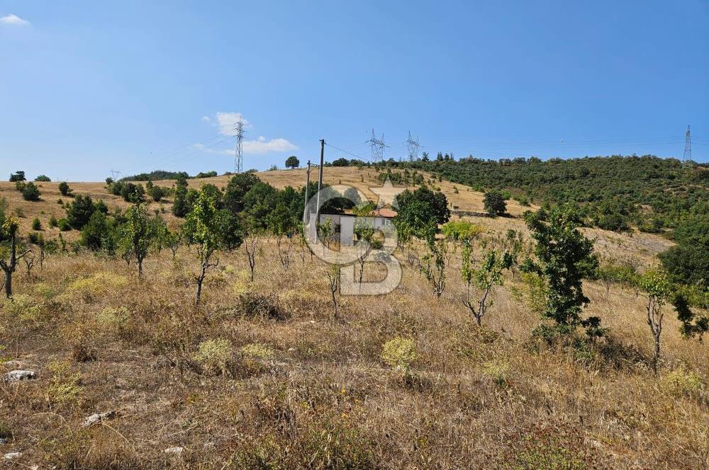 BURSA KESTEL ERDOĞAN MAH.SATILIK 28.440 M2 MEYVE BAHÇESİ!