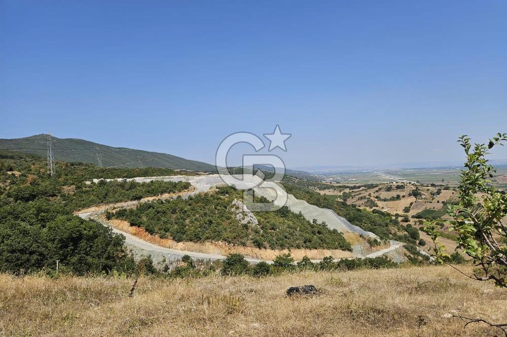 BURSA KESTEL ERDOĞAN MAH.SATILIK 28.440 M2 MEYVE BAHÇESİ!