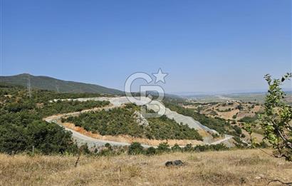BURSA KESTEL ERDOĞAN MAH.SATILIK 28.440 M2 MEYVE BAHÇESİ!