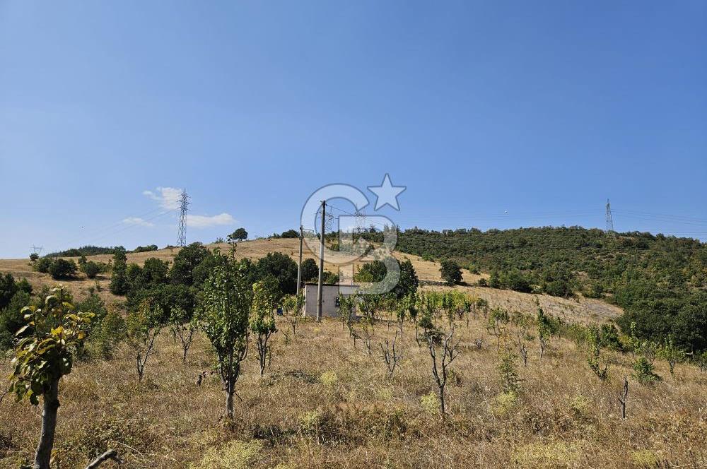 BURSA KESTEL ERDOĞAN MAH.SATILIK 28.440 M2 MEYVE BAHÇESİ!