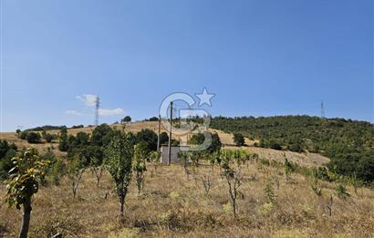 BURSA KESTEL ERDOĞAN MAH.SATILIK 28.440 M2 MEYVE BAHÇESİ!