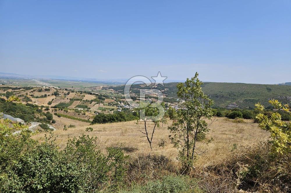 BURSA KESTEL ERDOĞAN MAH.SATILIK 28.440 M2 MEYVE BAHÇESİ!
