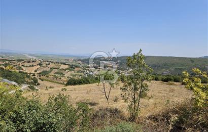 BURSA KESTEL ERDOĞAN MAH.SATILIK 28.440 M2 MEYVE BAHÇESİ!