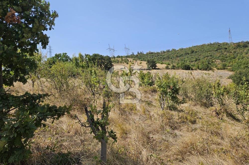 BURSA KESTEL ERDOĞAN MAH.SATILIK 28.440 M2 MEYVE BAHÇESİ!