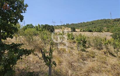 BURSA KESTEL ERDOĞAN MAH.SATILIK 28.440 M2 MEYVE BAHÇESİ!