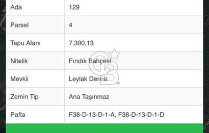 KOZLUK MERKEZE YAKIN SATILIK FINDIKLIK