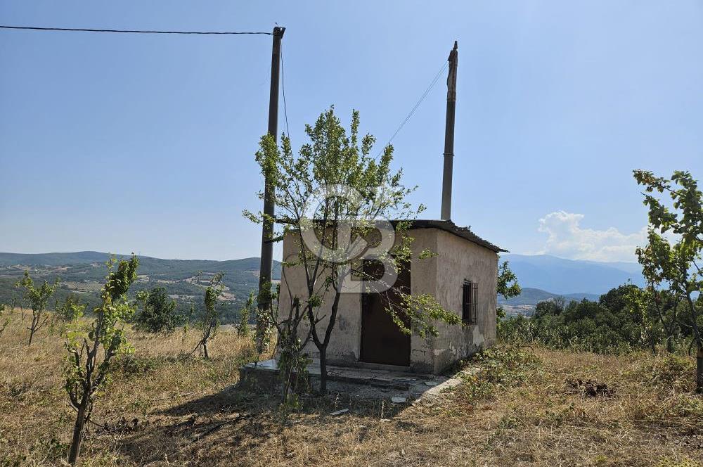 BURSA KESTEL ERDOĞAN MAH.SATILIK 28.440 M2 MEYVE BAHÇESİ!