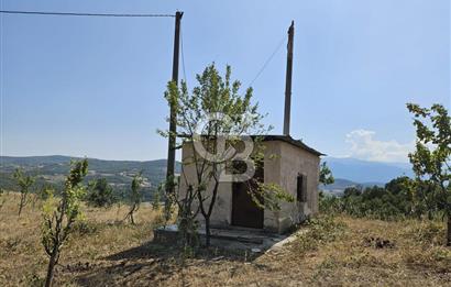 BURSA KESTEL ERDOĞAN MAH.SATILIK 28.440 M2 MEYVE BAHÇESİ!