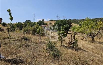 BURSA KESTEL ERDOĞAN MAH.SATILIK 28.440 M2 MEYVE BAHÇESİ!