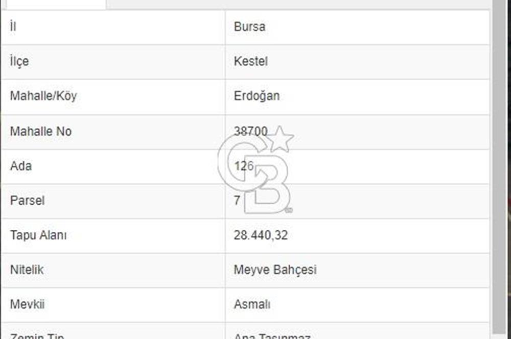 BURSA KESTEL ERDOĞAN MAH.SATILIK 28.440 M2 MEYVE BAHÇESİ!