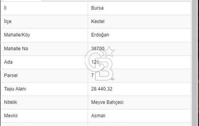 BURSA KESTEL ERDOĞAN MAH.SATILIK 28.440 M2 MEYVE BAHÇESİ!