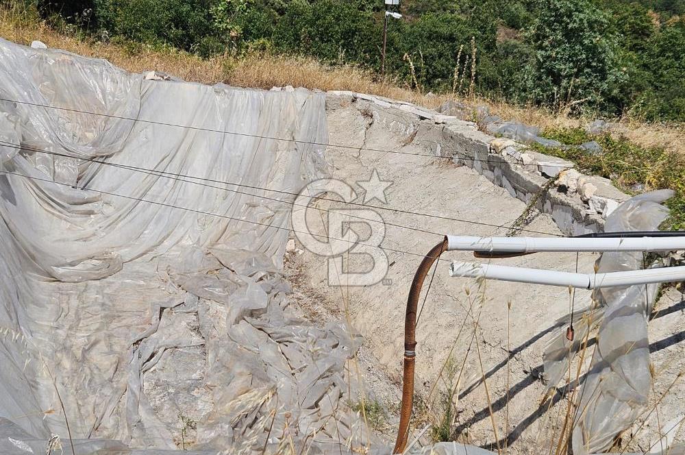 BURSA KESTEL ERDOĞAN MAH.SATILIK 28.440 M2 MEYVE BAHÇESİ!