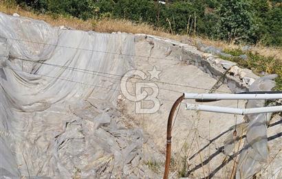 BURSA KESTEL ERDOĞAN MAH.SATILIK 28.440 M2 MEYVE BAHÇESİ!