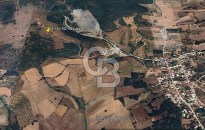 BURSA KESTEL ERDOĞAN MAH.SATILIK 28.440 M2 MEYVE BAHÇESİ!