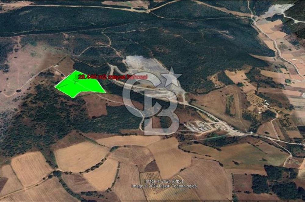 BURSA KESTEL ERDOĞAN MAH.SATILIK 28.440 M2 MEYVE BAHÇESİ!