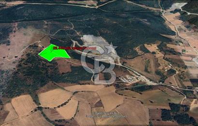 BURSA KESTEL ERDOĞAN MAH.SATILIK 28.440 M2 MEYVE BAHÇESİ!