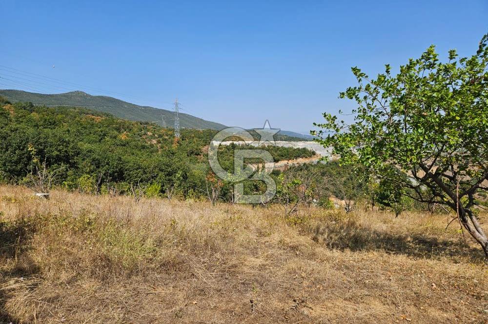 BURSA KESTEL ERDOĞAN MAH.SATILIK 28.440 M2 MEYVE BAHÇESİ!