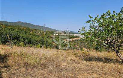 BURSA KESTEL ERDOĞAN MAH.SATILIK 28.440 M2 MEYVE BAHÇESİ!