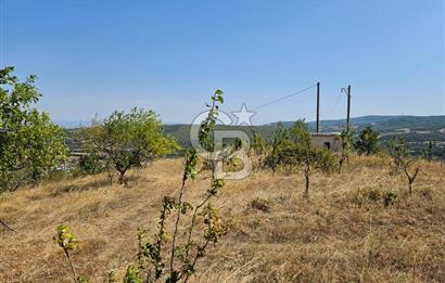 BURSA KESTEL ERDOĞAN MAH.SATILIK 28.440 M2 MEYVE BAHÇESİ!