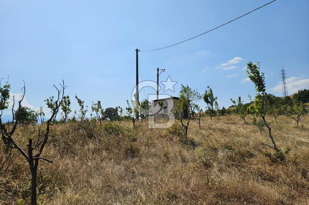 BURSA KESTEL ERDOĞAN MAH.SATILIK 28.440 M2 MEYVE BAHÇESİ!