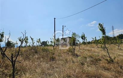 BURSA KESTEL ERDOĞAN MAH.SATILIK 28.440 M2 MEYVE BAHÇESİ!