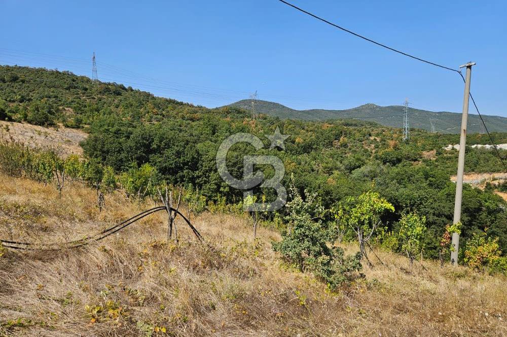 BURSA KESTEL ERDOĞAN MAH.SATILIK 28.440 M2 MEYVE BAHÇESİ!