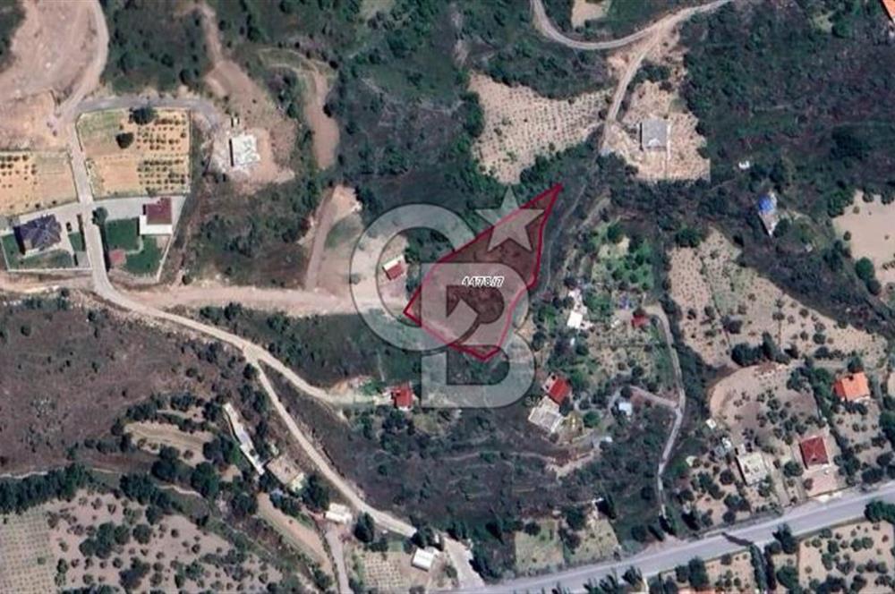 Yediağaç'ta Eşsiz Manzaralı, 2400 m² Net Alanlı Tek Tapu Arsa!