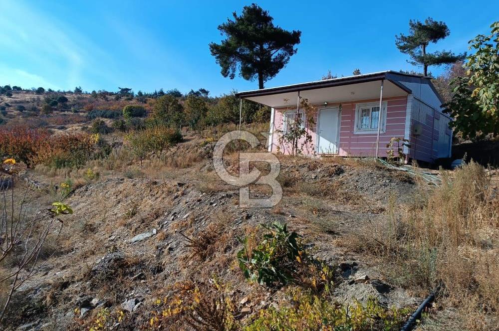 Bayındır Çınardibi Köyünde 7734m2 Satılık Meyve Bahçesi