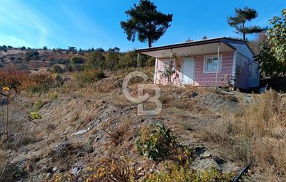 Bayındır Çınardibi Köyünde 7734m2 Satılık Meyve Bahçesi