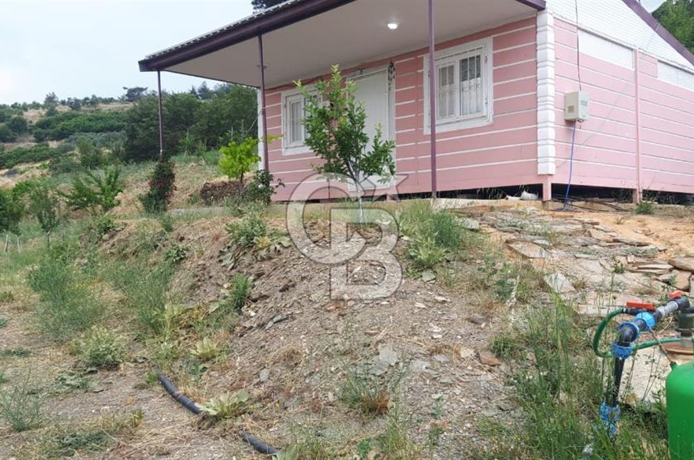 Bayındır Çınardibi Köyünde 7734m2 Satılık Meyve Bahçesi