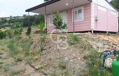 Bayındır Çınardibi Köyünde 7734m2 Satılık Meyve Bahçesi