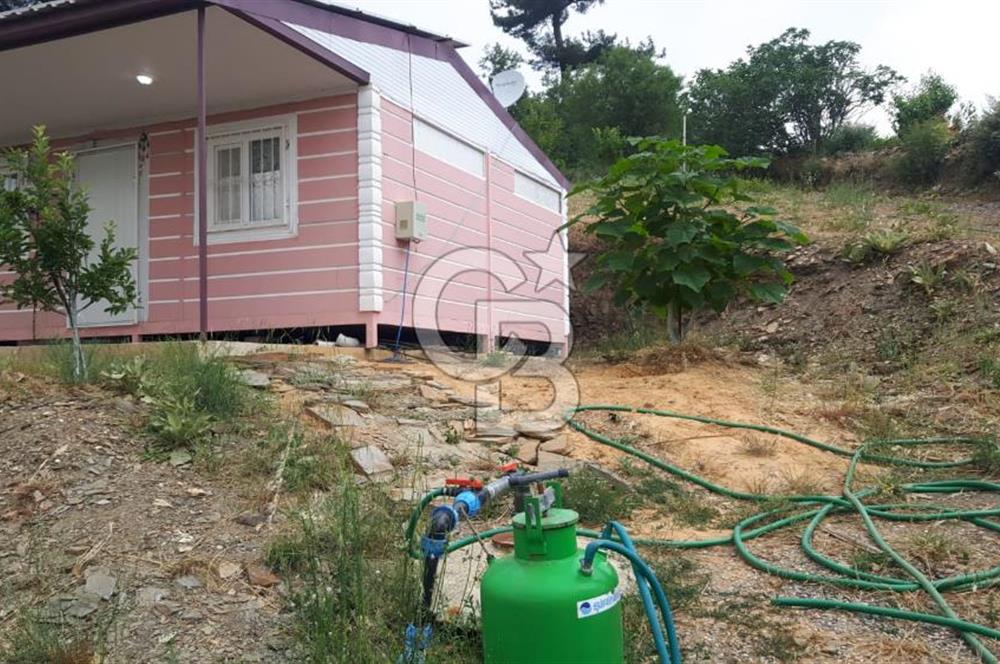 Bayındır Çınardibi Köyünde 7734m2 Satılık Meyve Bahçesi