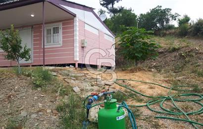 Bayındır Çınardibi Köyünde 7734m2 Satılık Meyve Bahçesi