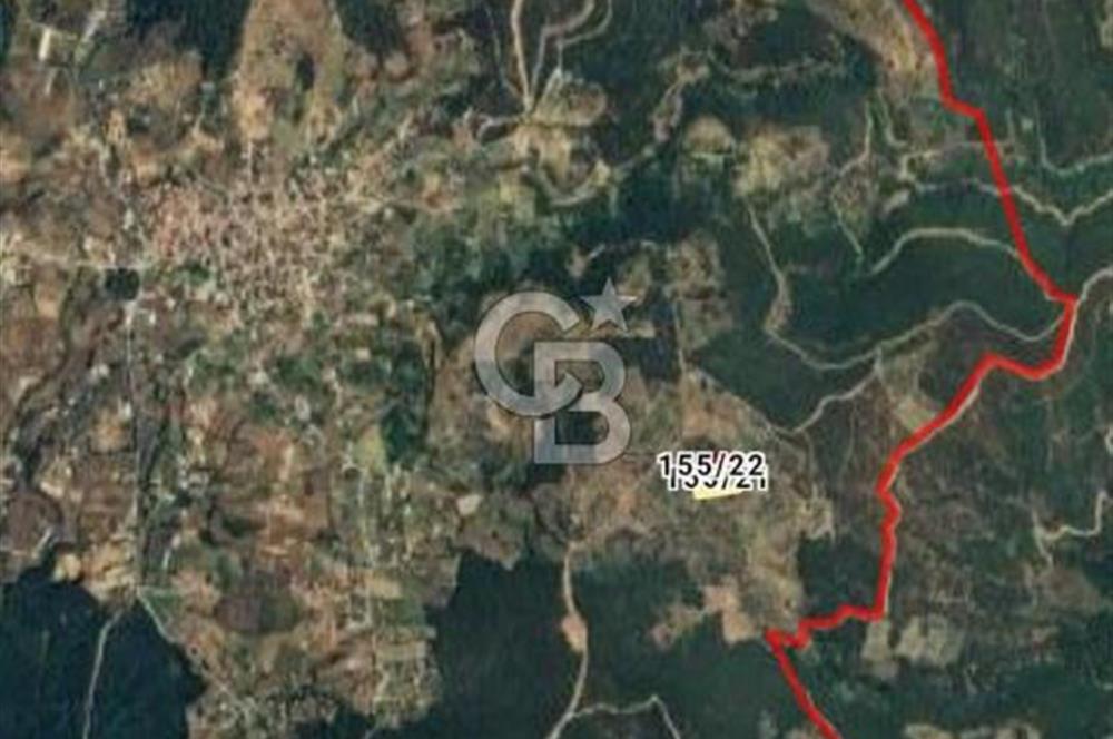 Bayındır Çınardibi Köyünde 7734m2 Satılık Meyve Bahçesi