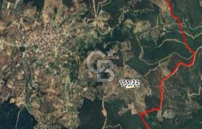Bayındır Çınardibi Köyünde 7734m2 Satılık Meyve Bahçesi