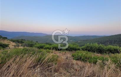 Bayındır Çınardibi Köyünde 7734m2 Satılık Meyve Bahçesi