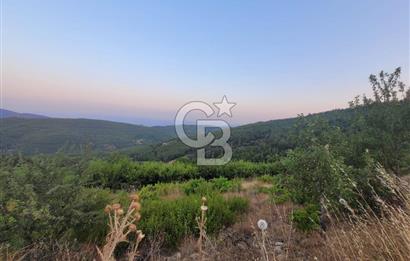 Bayındır Çınardibi Köyünde 7734m2 Satılık Meyve Bahçesi