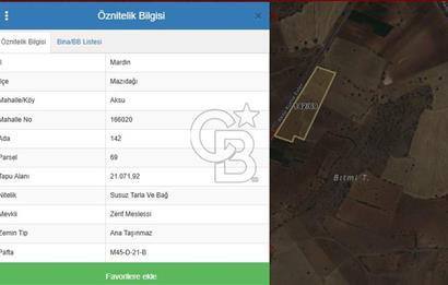 Mardin Mazıdağı Aksu ' da 21 Dönüm Satılık TARLA CB-PH