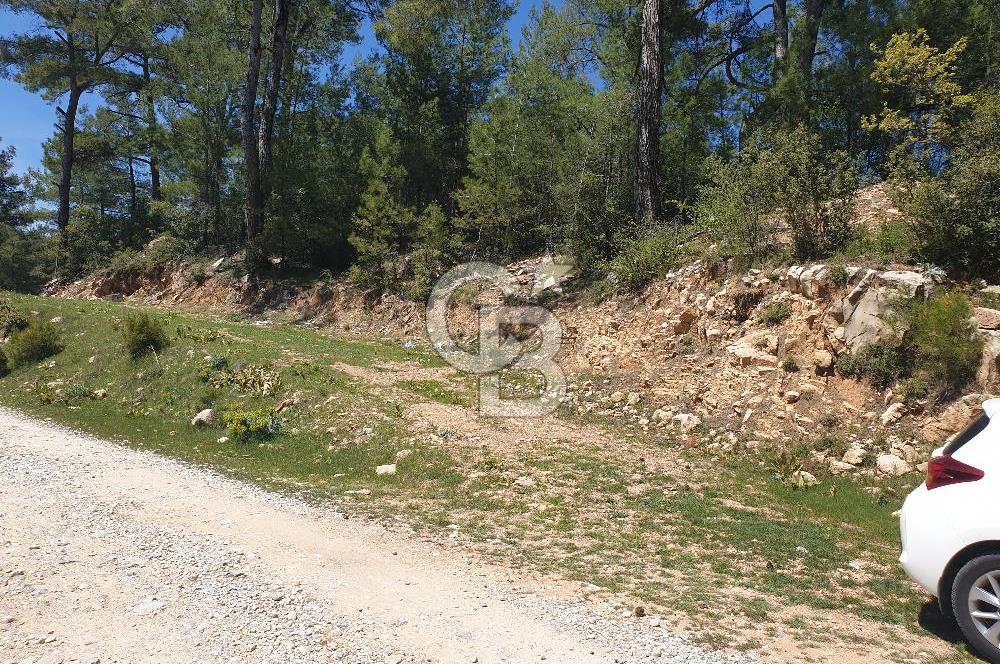 Muğla Menteşe Denizova Mahallesinde Satılık 1.366 Metre Kare Tarla