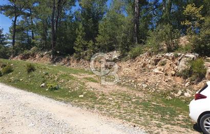 Muğla Menteşe Denizova Mahallesinde Satılık 1.366 Metre Kare Tarla